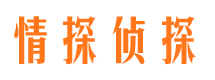 沙湾市侦探调查公司